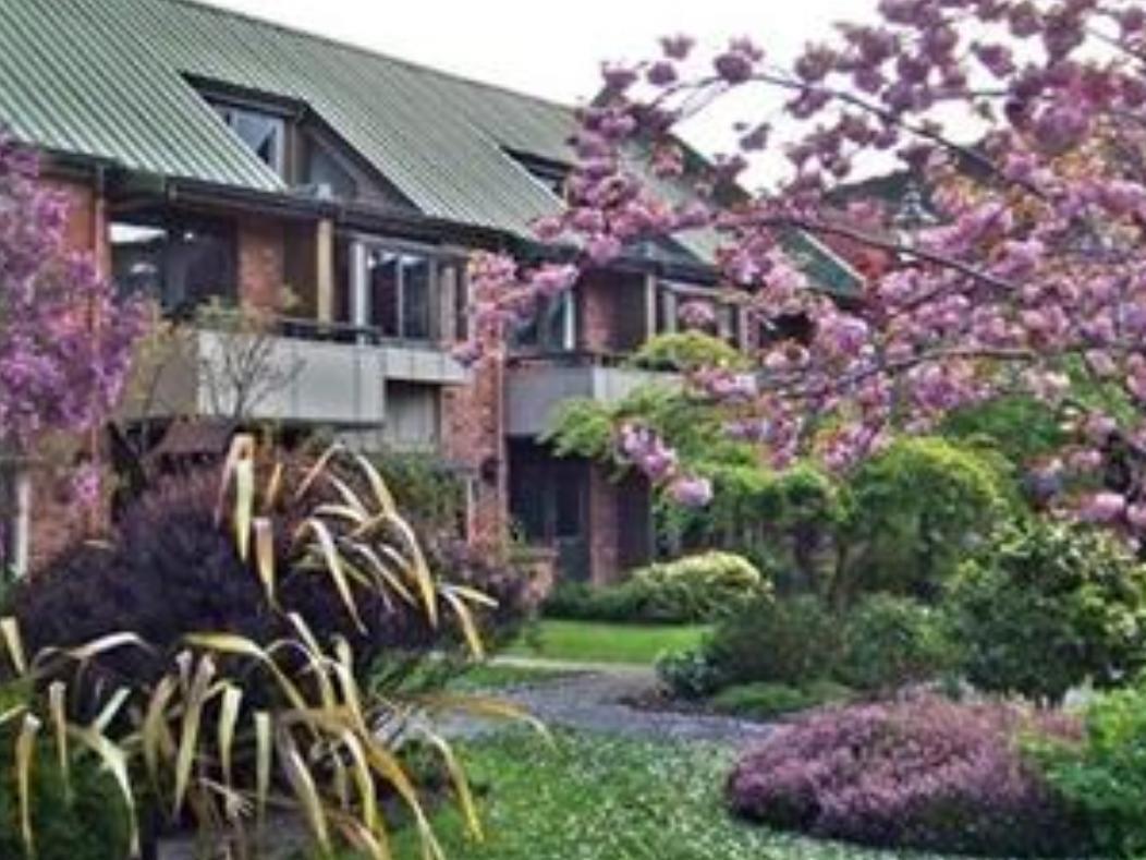 Woodlands Motels And Apartments Dunedin Exterior foto